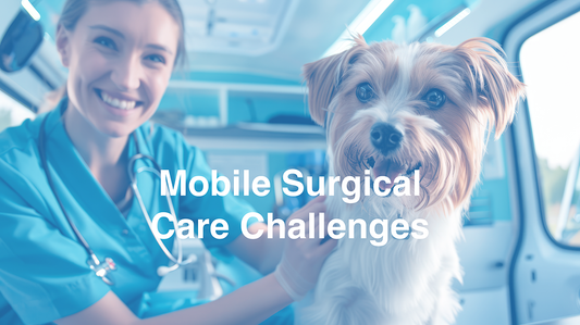 Mobile Surgical Care Challenges