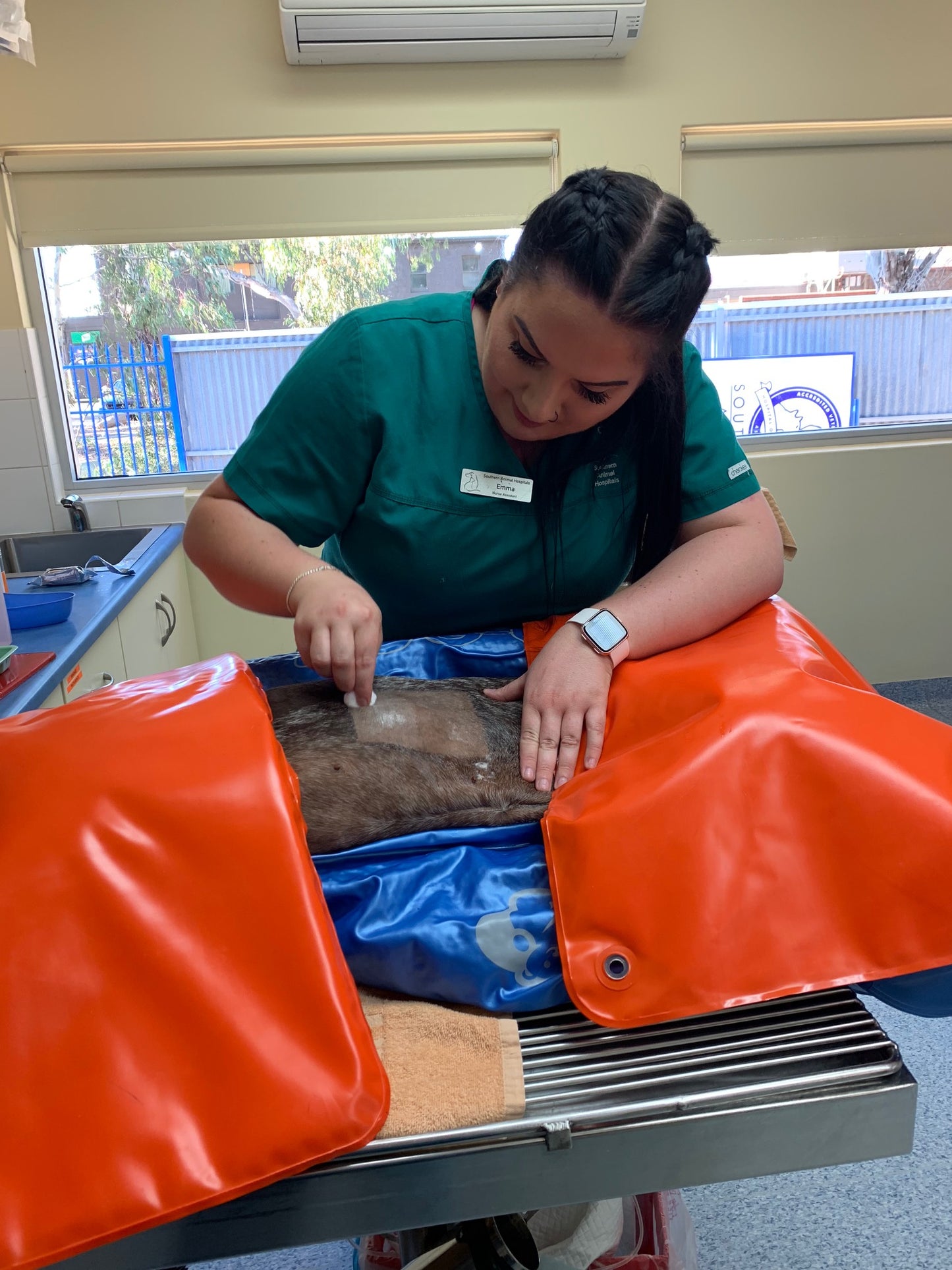 General Use | Thermal Blanket Set - VetORSolutions