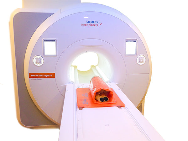 MRI-SAFE | Thermal Blanket Set - VetORSolutions
