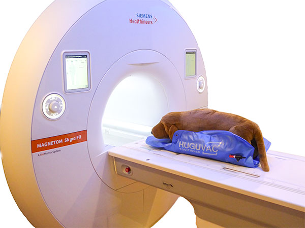 MRI Safe – HUG-U-VAC Positioners – Individual - VetORSolutions