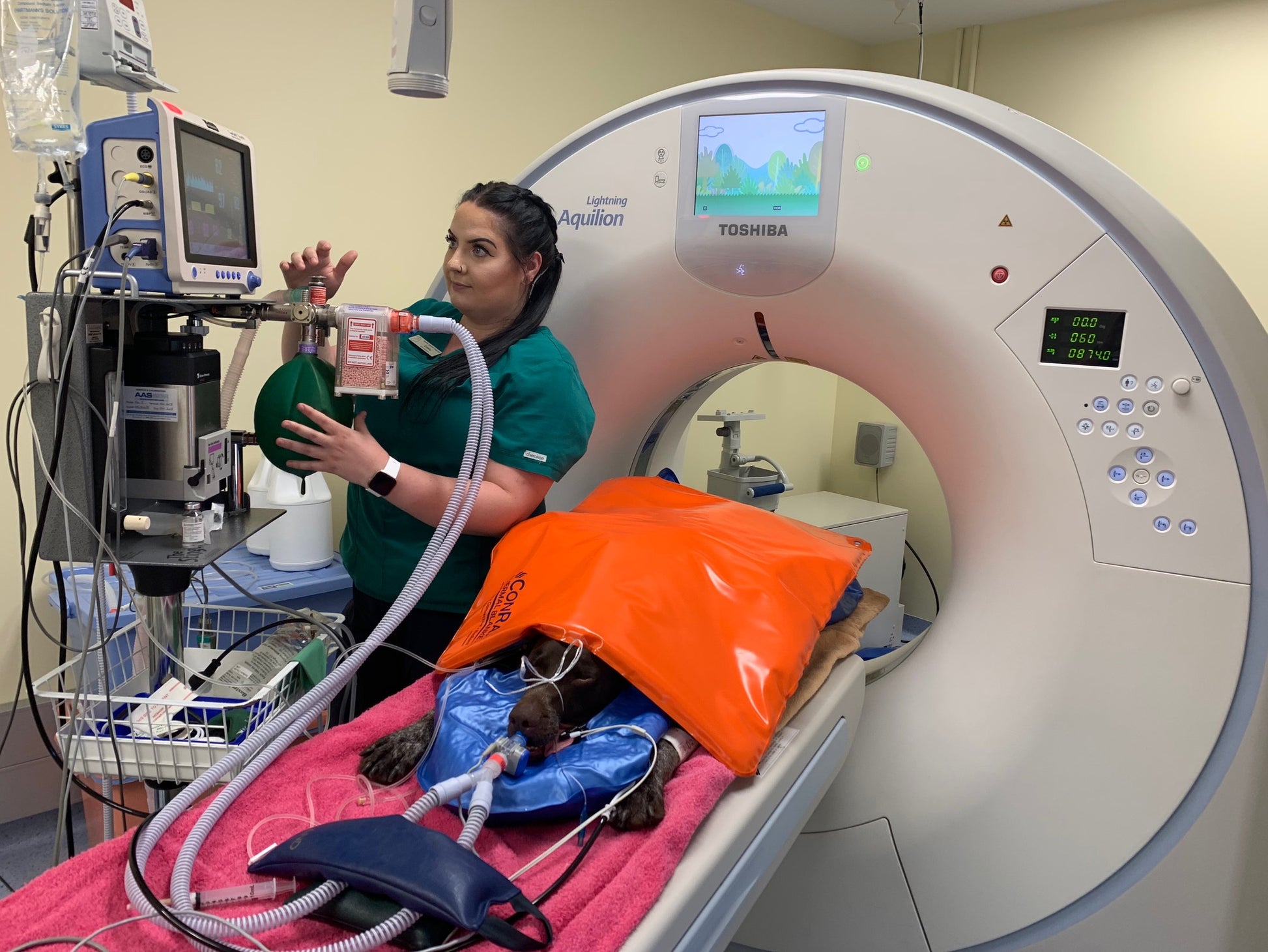 MRI-SAFE | ConRad Thermal Blanket - VetORSolutions