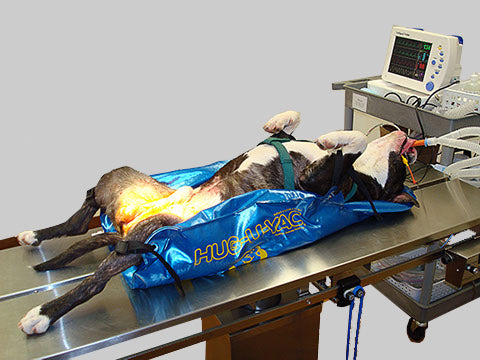 Animal Body Positioner - VetORSolutions