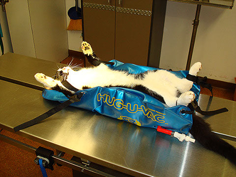 Animal Body Positioner - VetORSolutions