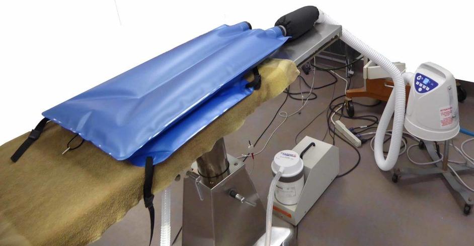 HoverHeat Universal Adaptor - VetORSolutions