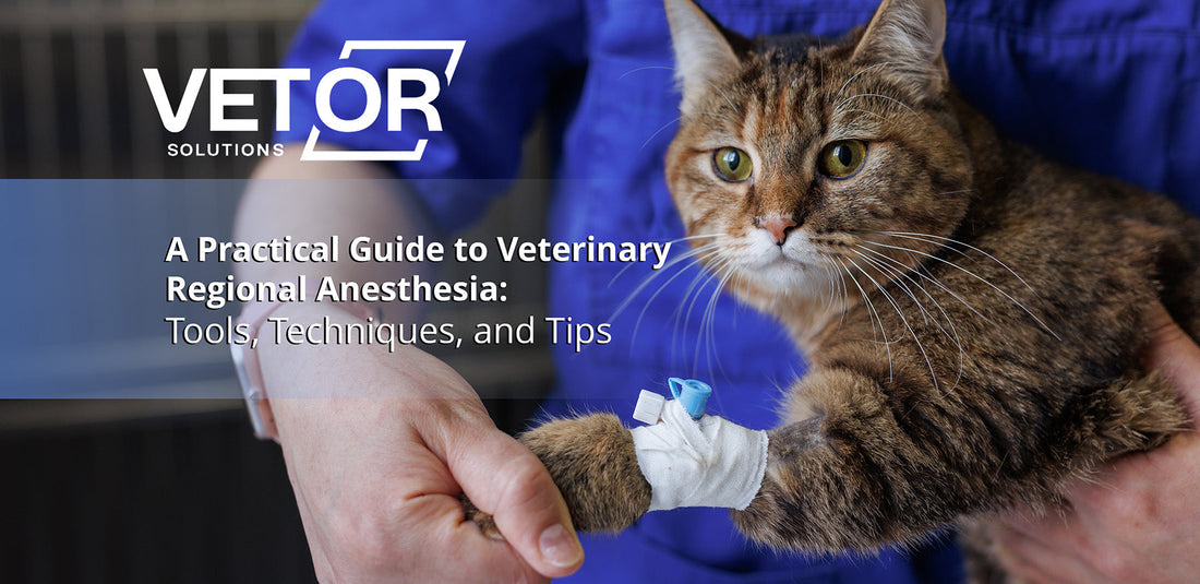 A Practical Guide to Veterinary Regional Anesthesia: Tools, Techniques, and Tips