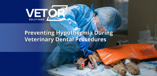 Special Considerations in Preventing Hypothermia During Veterinary Dental Procedures
