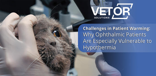 Challenges in Patient Warming During Veterinary Ophthalmological Procedures