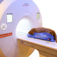 MRI Safe – HUG-U-VAC Companion Set - VetORSolutions