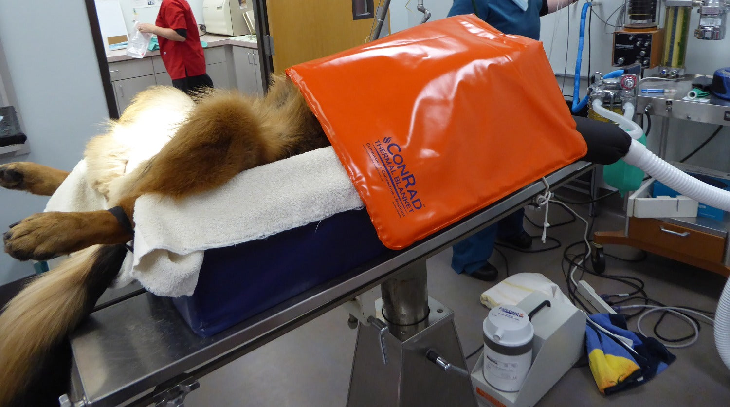 Thermal discount blanket hospital